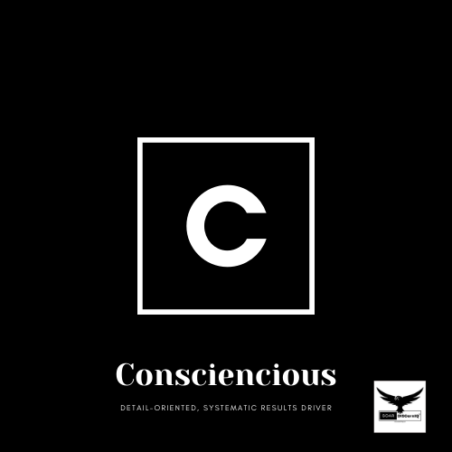 🔍 Nurturing Conscientiousness! 📚 Detail-oriented and systematic, “C” profiles drive precision.