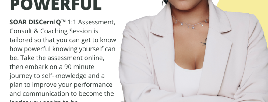 Illuminate Your Leadership Path with SOAR DISCernIQ™️: Personalized 1:1 Sessions with Coach L. Michelle Smith